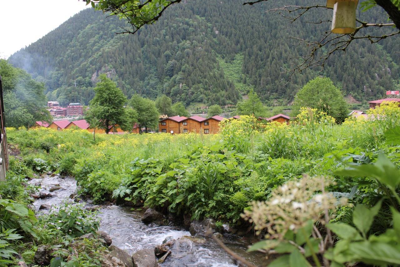 Faraksi Bungalow & Otel Uzungöl Εξωτερικό φωτογραφία