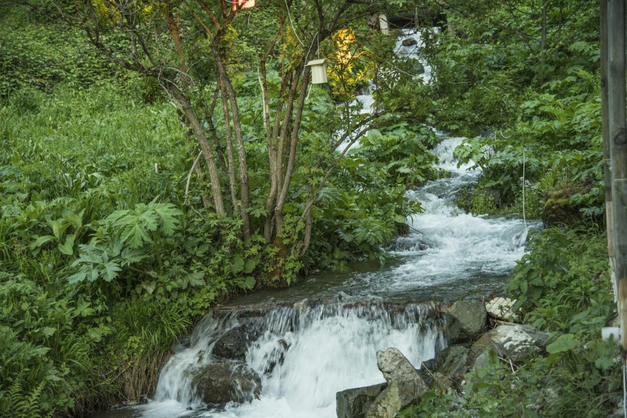 Faraksi Bungalow & Otel Uzungöl Εξωτερικό φωτογραφία